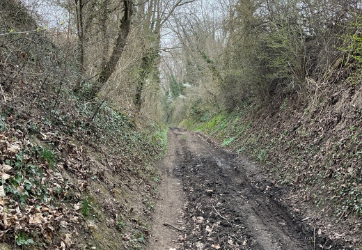 20220325073938-f0f0d026